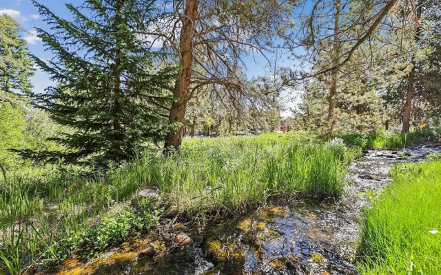 Cedars 3 2 Bedroom Townhouse