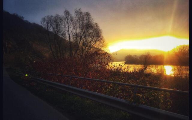 Gemütliches Apartment mit Moselblick