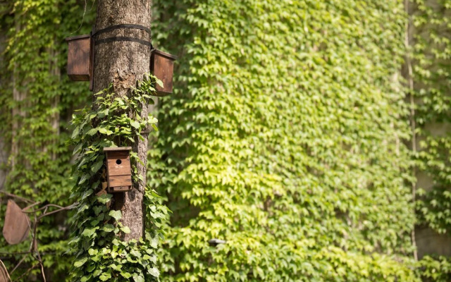 Hotel Ambasada Bolesławiec