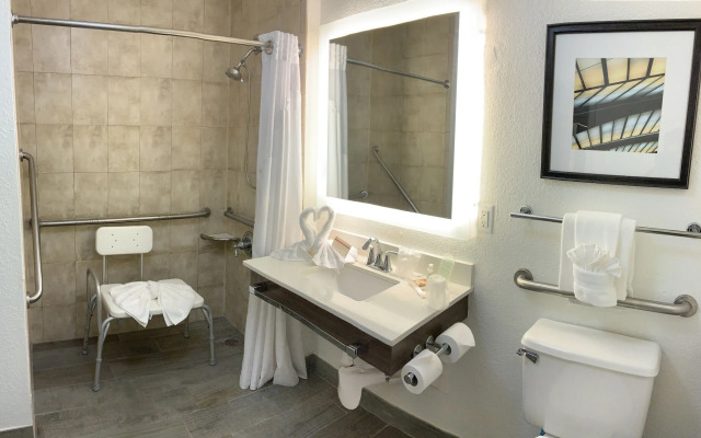 Holiday Inn Melbourne-Viera Conference Ctr by IHG