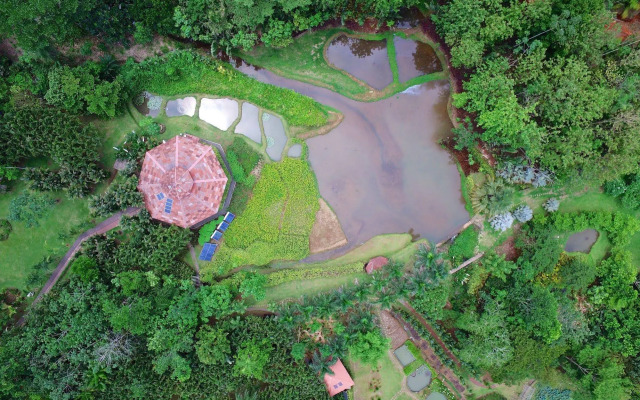 Macaw Lodge