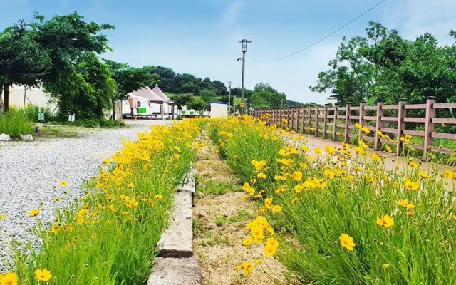 asangeulraempingkaempingjang