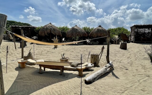 Ecoxata - Adults Only