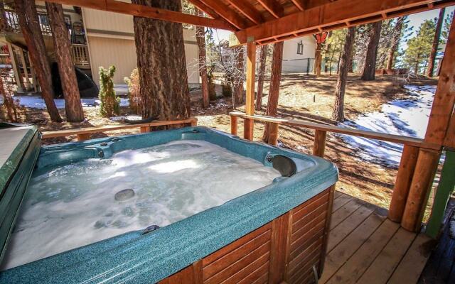 Pines and Needles 1454 by RedAwning