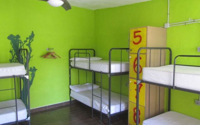 Hakuna Matata Hostel