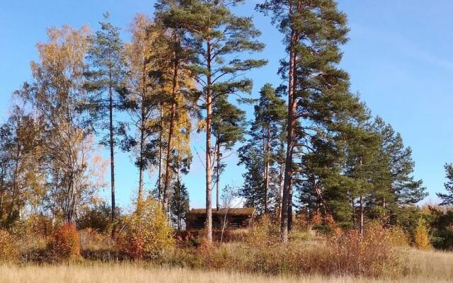 Hopeaniemi Resort