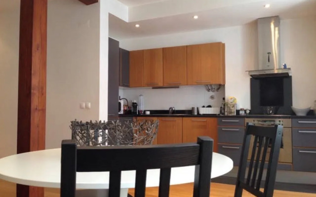 Deluxe city center flat