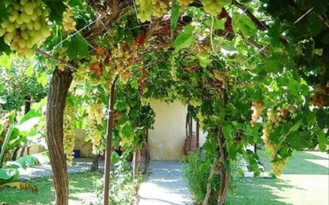 Dimitra Apartments