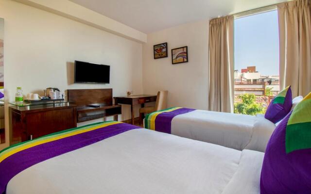 Treebo Premium Rose Mallow