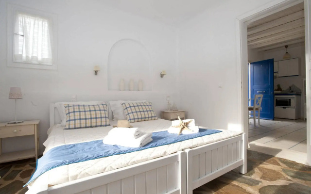 Navy Blue Suites