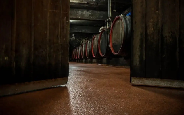 Weingut-Pension Tiliahof