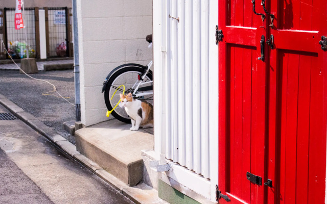 Guest House Naraya Hostel