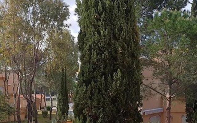 Appartement Argelès-sur-Mer, 2 pièces, 5 personnes - FR-1-388-126