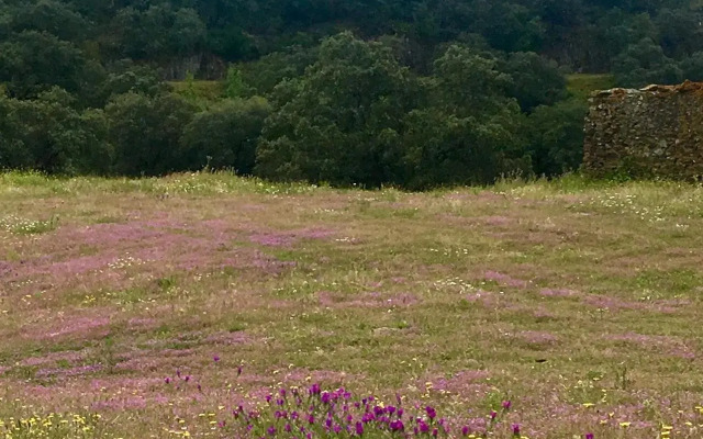 Finca Valle Corchoso