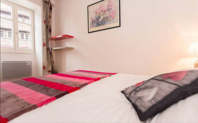 Appartement Les Tanneurs Colmar Le Green