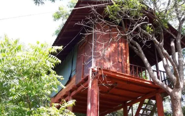 Dambulla Tree House