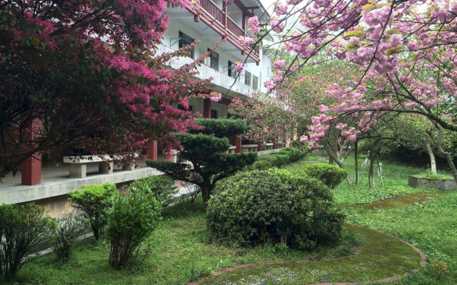 Pipaxi Hotel