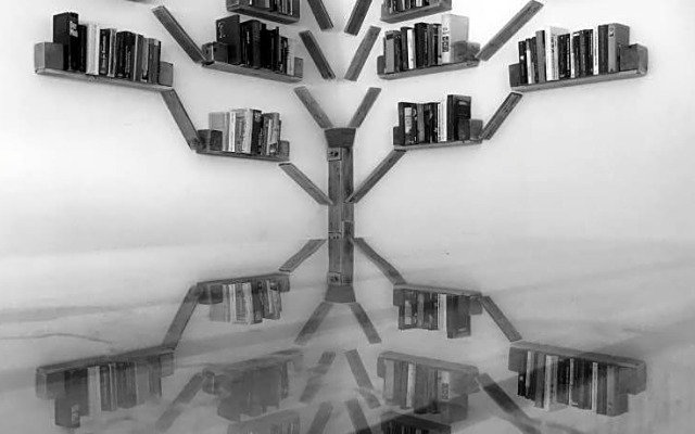 The Eco Palace Hostel