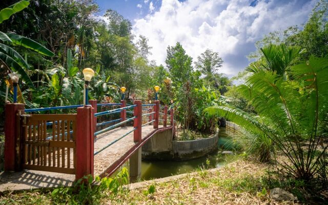 Palm Grove Eco Resort