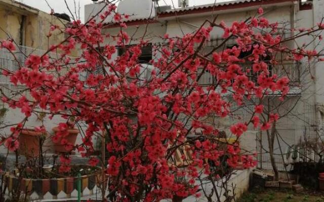 2020 renovated, sunny apartment with yard/garden