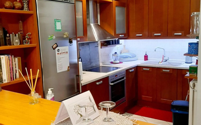 Large terrace apartment near city centre