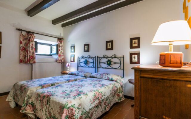 Bardeggiano - Caterina 3 (COL246)