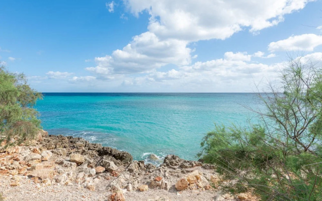 Antic 201 in Mallorca