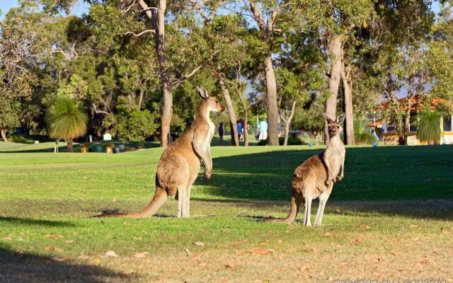 Novotel Swan Valley Vines Resort