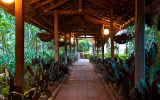 Bird of Paradise Hotel & Apartments