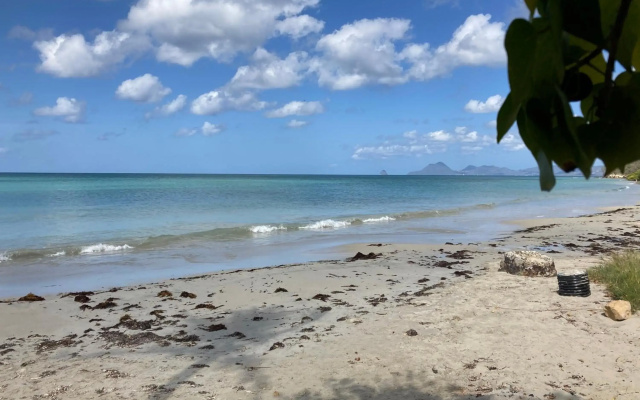 Belfond-Tropical