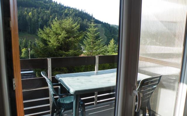 Appartement A La Bresse Hohneck