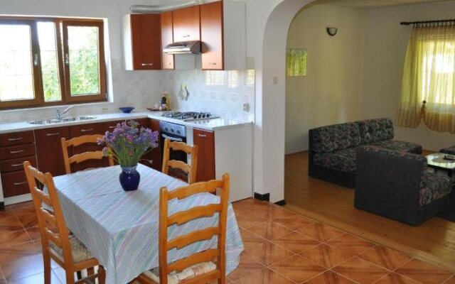Apartment Drenovica