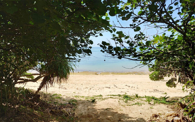Cocoro Malolo