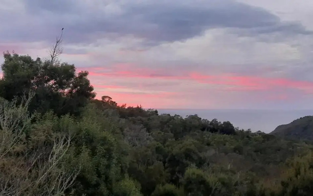 Oriole Serene Self Catering Studio
