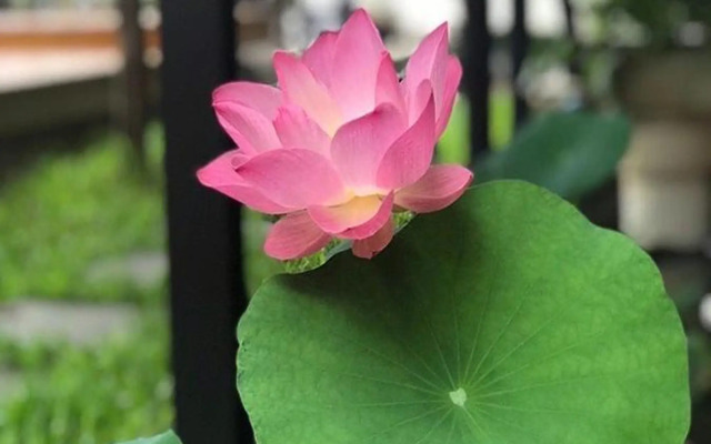 The Wishes Hotel at Chiangmai
