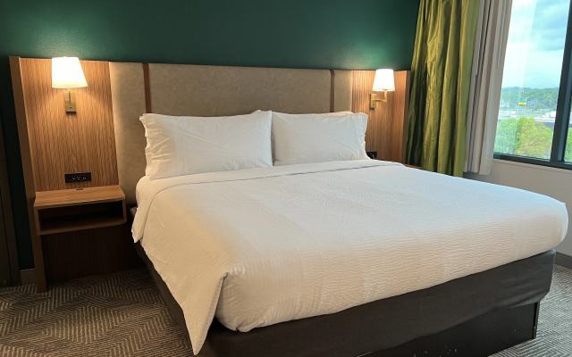 Holiday Inn Nashville Downtown - Stadium by IHG
