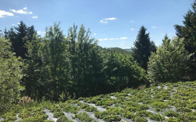 Terrasses de Malmedy Studio 332