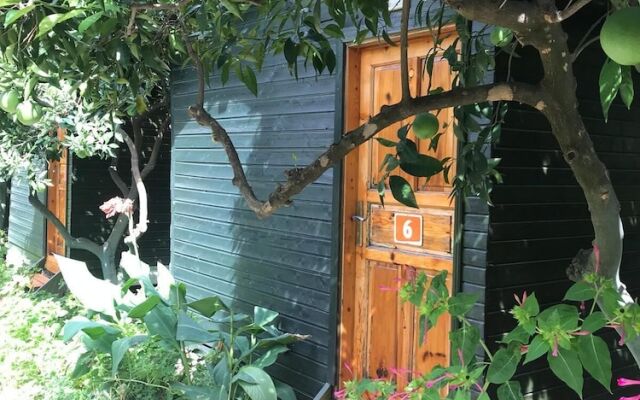 Olympos Tatilya Pansiyon