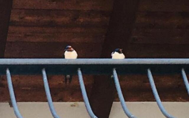 Res. Michelangelo Resort 252S