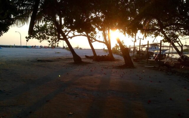 Gurus Maldives at Gulhi Island