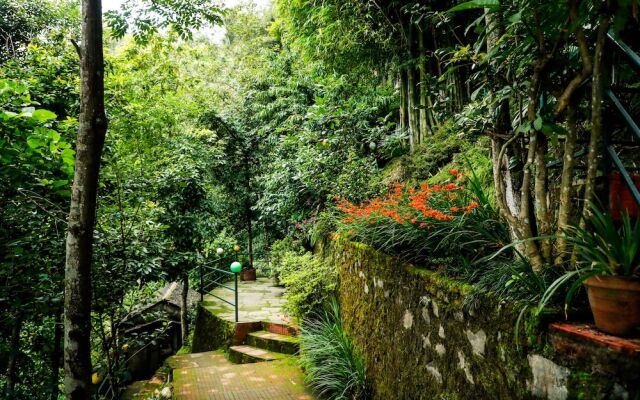 National Mount View Resort Pvt Ltd
