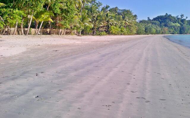 Foxy's Beach Resort