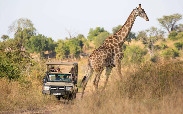 Ngoma Safari Lodge