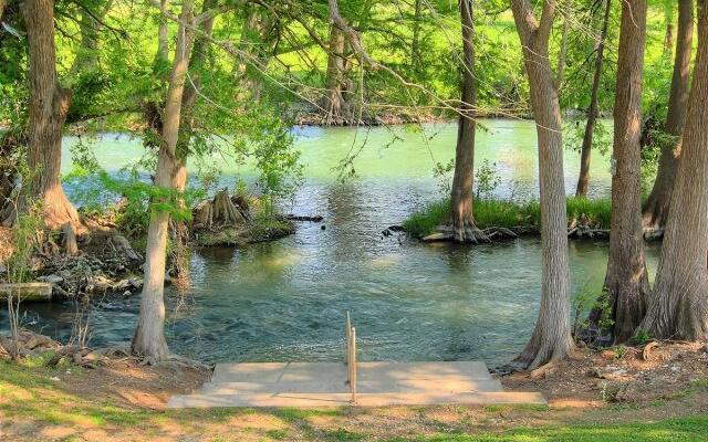 Gracelanda WW C302 in New Braunfels