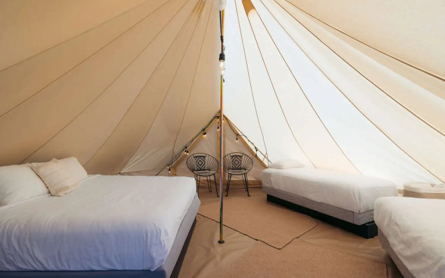 Zion Wildflower, BW Premier Collection