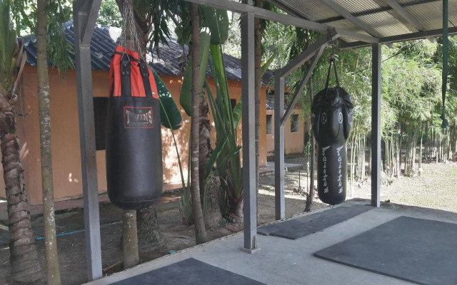 Purple Monkey Backpackers