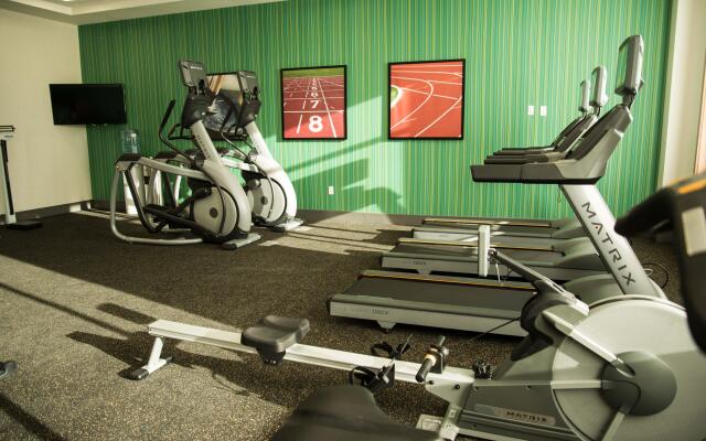 Holiday Inn Express & Suites West Edmonton - Mall Area by IHG