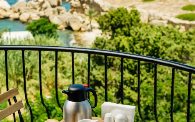 Olivia Palm Hotel