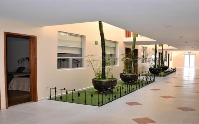 Global Express Pachuca