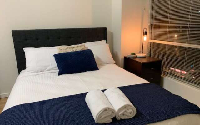 BHB CBD Dream - Wine Netflix Wifi Views